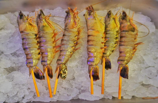 image Poissons et Crustacés